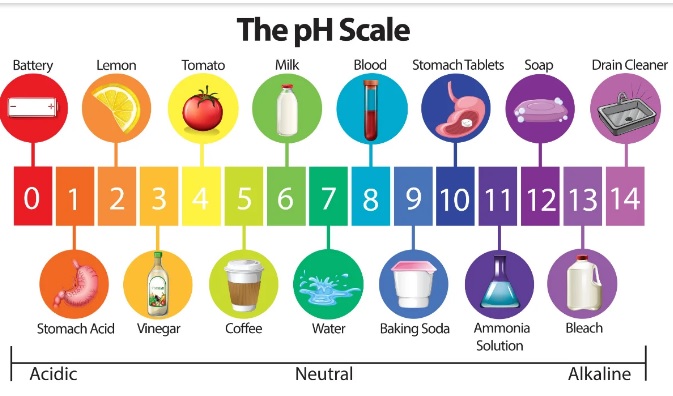 the pH Scale