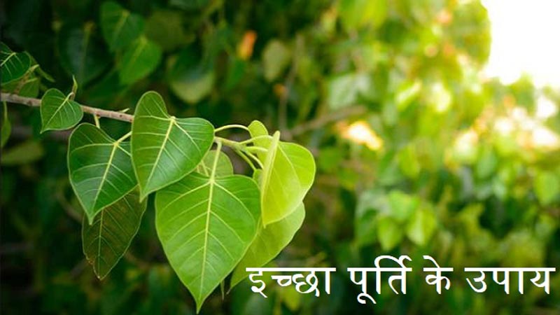 इच्छा पूर्ति के उपाय