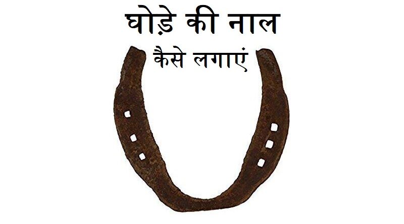 घोड़े की नाल कैसे लगाएं