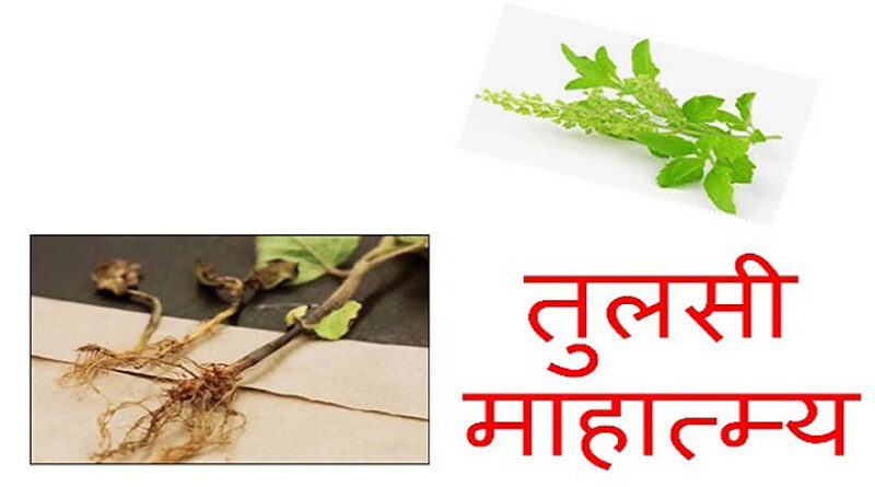 तुलसी माहात्म्य श्रवण