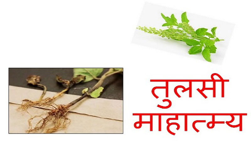 तुलसी माहात्म्य श्रवण