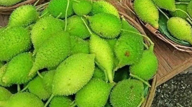 कंटोला सब्जी के फायदे